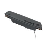 Fishman Rare Earth Pickup Single Coil, Nero