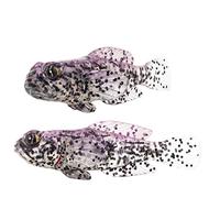 FISHN Set di 5 pesci di gomma GOBYONE 7,6 cm 9 gr ultra realistici per la pesca di pesce persico e (PURPLE RAIN)