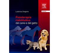 Fisioterapia riabilitativa dal cane e del gatto