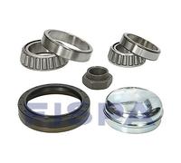 FISPA 460581 - Kit cuscinetto ruota asse posteriore