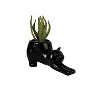 Fisura - Originale Vaso da Fiori a Forma di Gatto. Vasi succulenti Vasi da Giardino Moderno Decorativo. Vaso Piccolo per Cactus. Vaso in Ceramica 23 x 10 cm. (Nero)
