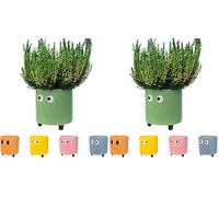 Fisura - Originale vaso da fiori con design a occhio. Vasi da giardino moderno decorativo. Vaso a gambe per cactus. Vaso in ceramica per fiori e piante grasse. 13 x 12,5 cm. (Verde) (Confezione da 2)