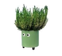 Fisura - Originale vaso da fiori con design a occhio. Vasi da giardino moderno decorativo. Vaso a gambe per cactus. Vaso in ceramica per fiori e piante grasse. 13 x 12,5 cm. (Verde)
