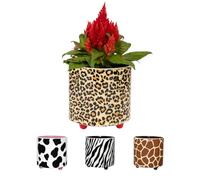 Fisura - Vaso originale con motivo leopardo. Vaso decorativo da interno con piedini, perfetto per cactus, fiori e piante grasse. Ceramica stampata 13 x 12,5 cm.