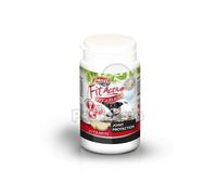 Fit Active Fit-A-Flex 60 compresse