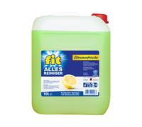Fit Allesreiniger Zitronenfrische per Irradia Lucido 10000ml