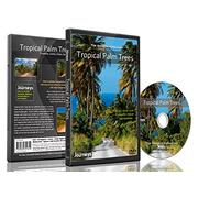 Fitness Journeys - Tropical Palm Trees , for indoor walking, treadmill and cycling workouts