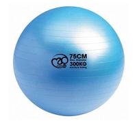 Fitness Mad Palla Svizzera (MQ111)