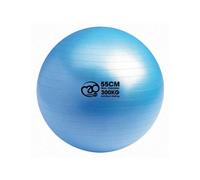 Fitness Mad Palla Svizzera (MQ823)
