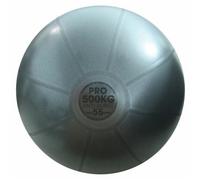 Fitness Mad Studio Pro Palla Svizzera (MQ824)