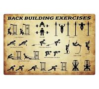 Fitness Studio Essential Poster - Comprehensive Back Exercise Guide, Professional Wall Reference for Personal Trainers & Physical Therapists(Framed,12x18inch(30x45cm))