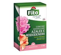 Fito Azalee RODODENDRI GRANULARE