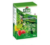 Fito – RINVERDENTE