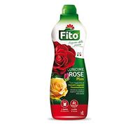 Fito Rose Plus, 9.7x7.4x28 cm