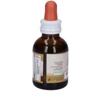 Fitoblasto Alnus Glutinosa ErbeNobili 50ml