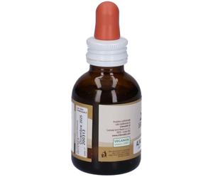 Fitoblasto Alnus Glutinosa ErbeNobili 50ml