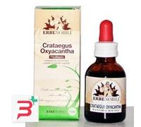 FITOBLASTO CRATAEGUS OXYACANTHA 50 ML