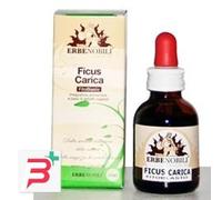 FITOBLASTO FICUS CARICA 50ML