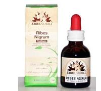 Fitoblasto Ribes Nigrum Gemmoderivato 50 ml