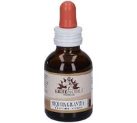Fitoblasto Sequoia Gigantea 50 ml Gocce