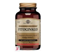 Fitoginkgo, 20 g