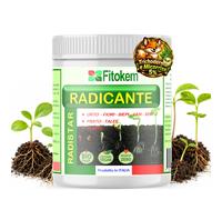 FITOKEM Radistar Effetto Ormone Radicante per Talee in Polvere (400 gr)
