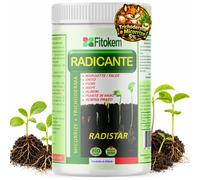 FITOKEM Radistar Effetto Ormone Radicante per Talee in Polvere (800 gr)