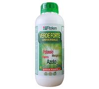 FITOKEM | VERDE FORTE 1 KG | concime multielemento per piante ornamentali da interni e orto