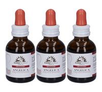 Fitomater Angelica 50 Ml 3x50 ml