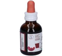 Erbe Nobili Fitomater Betulla – 50 ml