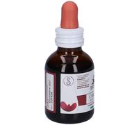 ERBENOBILI Fitomater Cardo Mariano 50 ml - Integratore per la funzione epatica