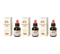 Fitomater Rosa Canina 3x50 ml