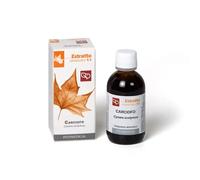 Fitomedical CARCIOFO ESTRATTO IDROALCOLICO 50 ML