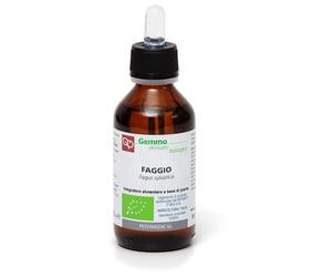 Fitomedical FAGGIO MACERATO GLICERICO 100 ML BIO