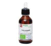 Fico Gemme Bio Mg 100ml