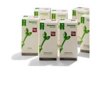 Fitomedical LENTISCO MACERATO GLICERICO 100 ML