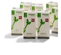 Fitomedical MIRTO MACERATO GLICERICO 100 ML