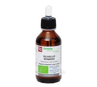 Fitomedical OLIVELLO SPINOSO MACERATO GLICERICO 100 ML BIO