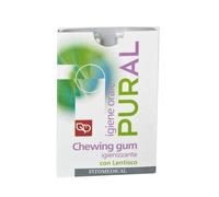 Pural Chewing Gum 14g