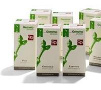 Ribes Nero Macerato Glicerinato Fitomedical 200Ml