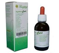 fitosystem snc System Core Gocce 50ml