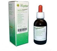 fitosystem snc System Performance Gocce 50ml