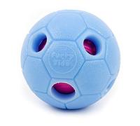 FITPAWS Bilancia Pad Accessorio Education per Cane