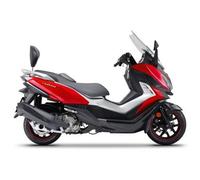 SHAD KIT SCHIENALINO SYM CRUISYM 300i Kit di montaggio schienale