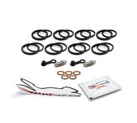Fittings Per La Revisione Della Pinza Del Freno Anteriore Yamaha FZ-09 2015