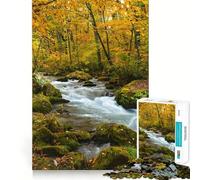 Fiume Oirase che scorre in una foresta autunnale - Puzzle da 1000 pezzi per adulti - Gioco di sfida mentale - Divertimento da fare insieme - Taglio di qualità (50x75cm)
