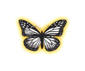 Five Dreams of Being