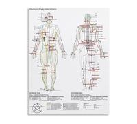 Five Elements Flow Poster Meridian Chart Traditional Chinese Medicine Diagram Decor(Framed,16x24inch(40x60cm))
