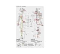 Five Elements & Meridian Chart Poster - Traditional Chinese Medicine Acupuncture Points Wall Art for Home & Office Decor(Unframed,12x18inch(30x45cm))
