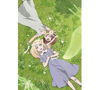 Five Fairy Scholars - Fairy Gone Vol.5 [Edizione: Giappone]
